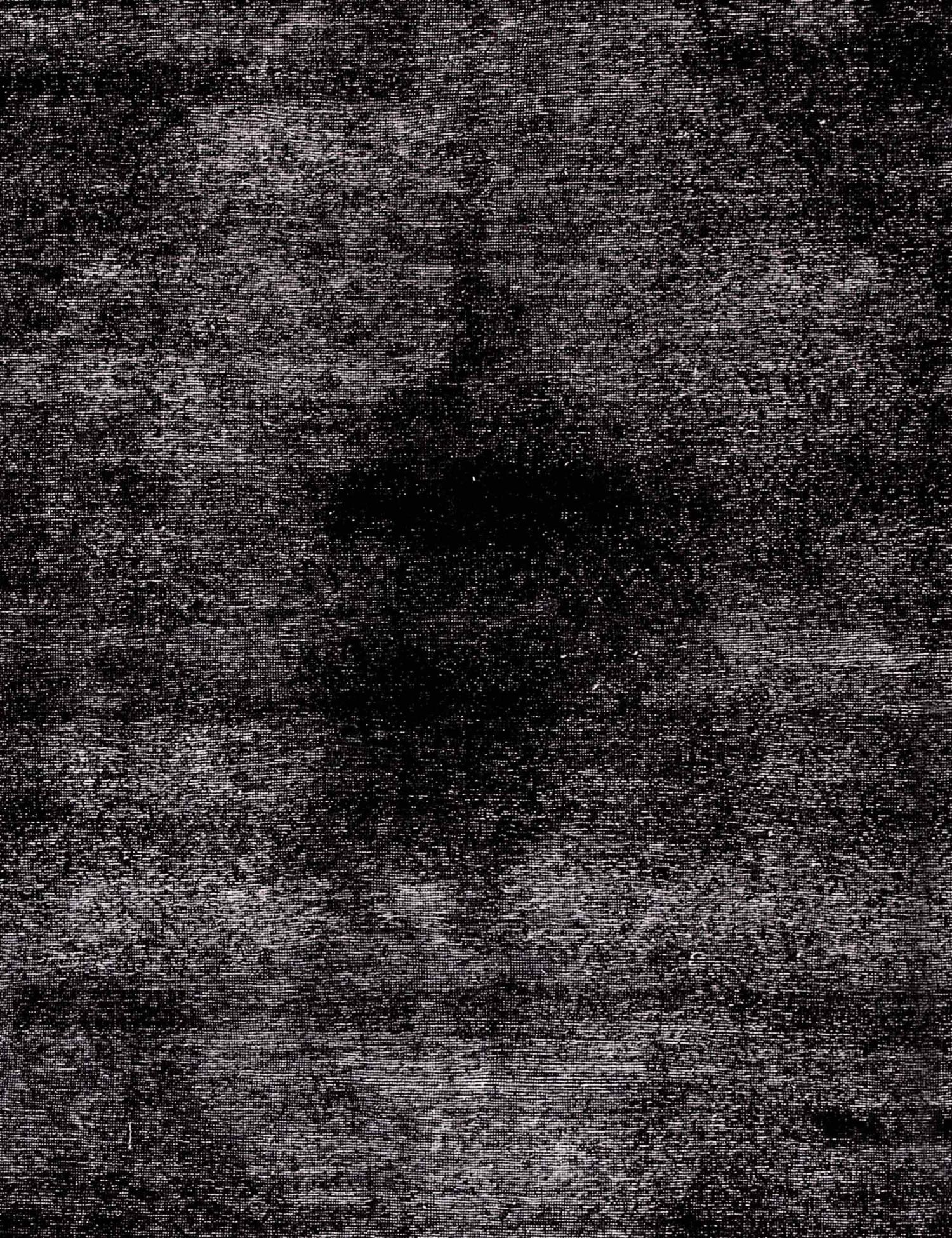 Persian Vintage    <br/>310 x 210 cm