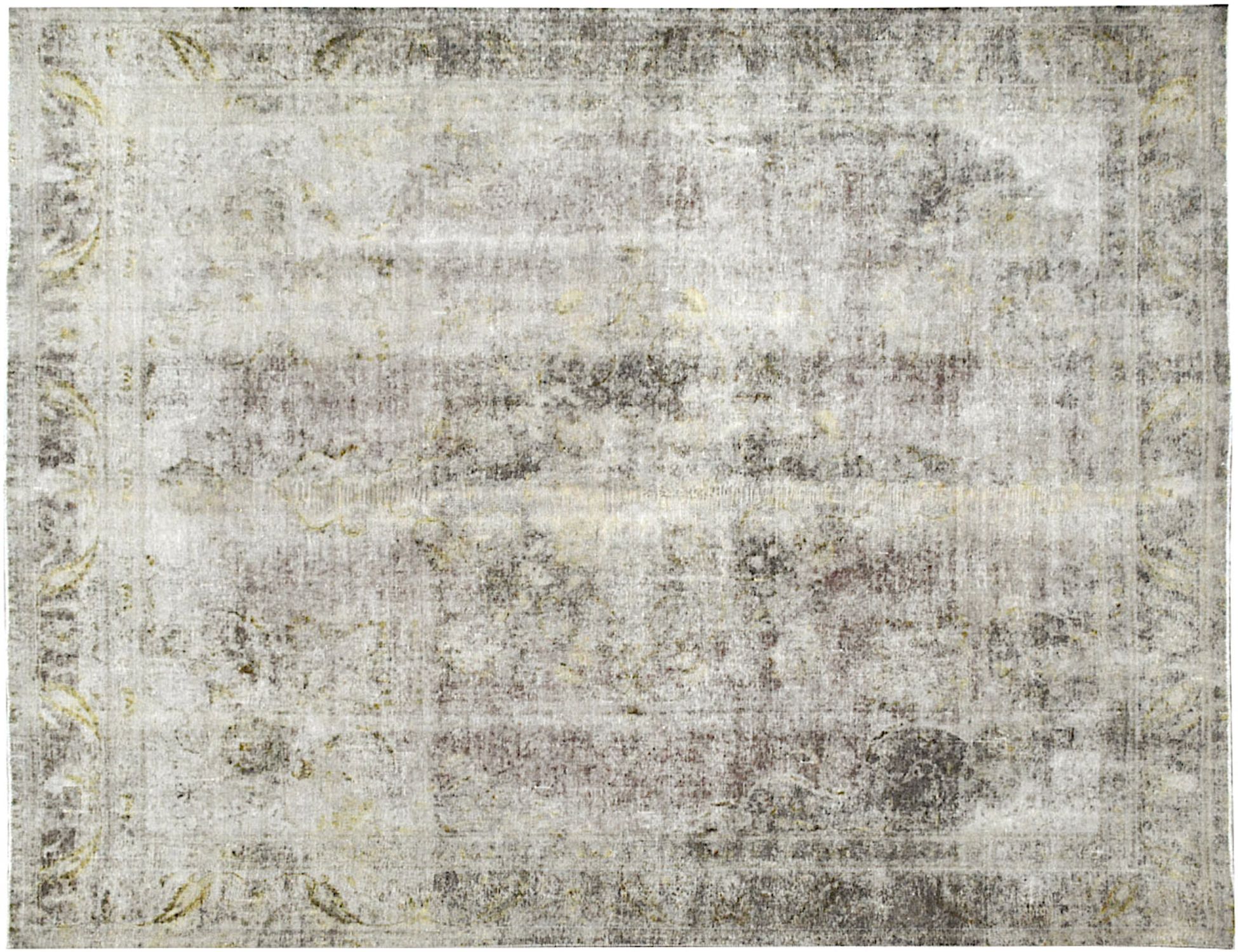 Vintage    <br/>367 x 294 cm