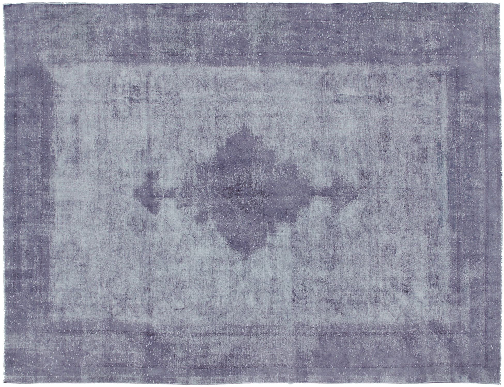 Persian Vintage    <br/>495 x 300 cm