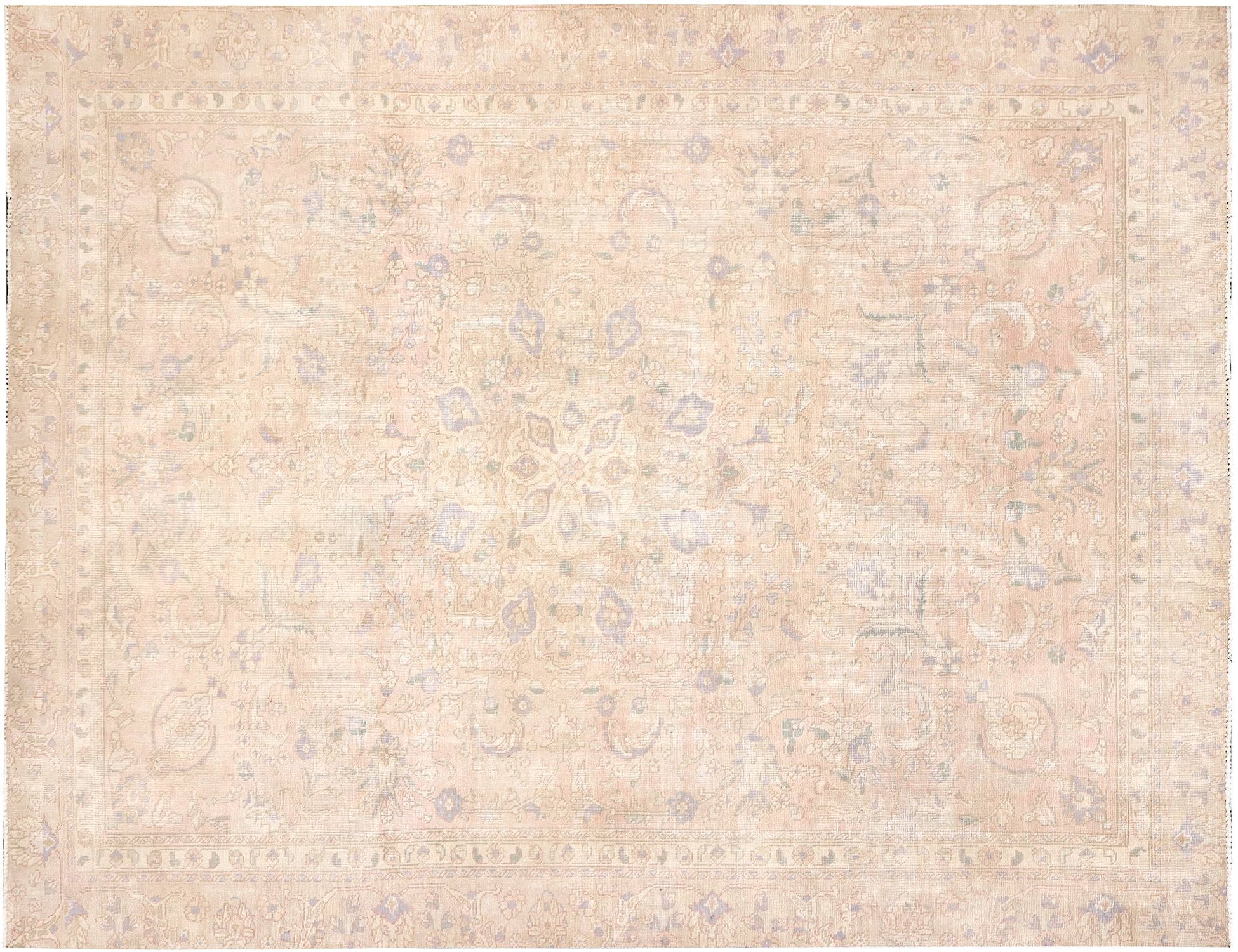 Persian Vintage    <br/>310 x 220 cm