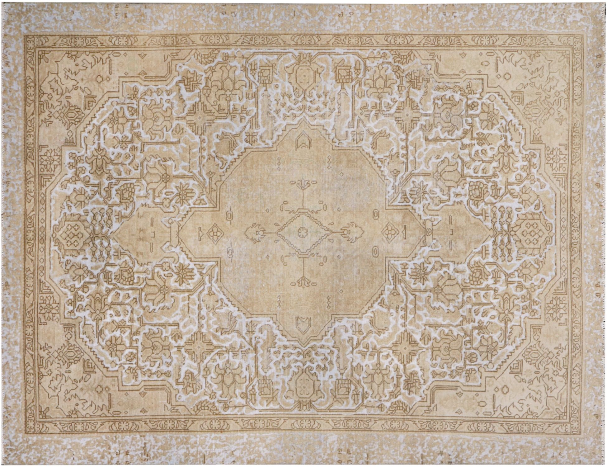 Persian Vintage    <br/>300 x 205 cm