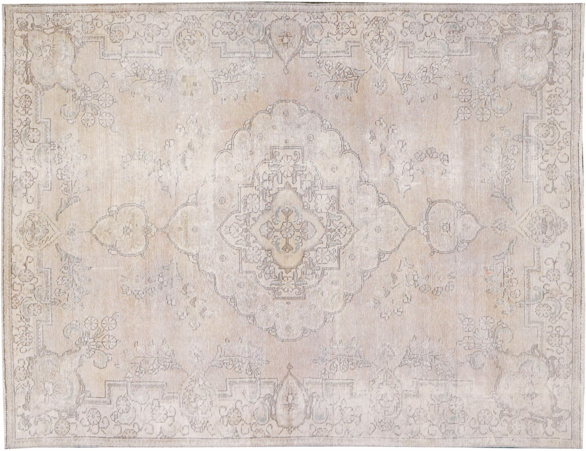 Persian Vintage    <br/>270 x 168 cm