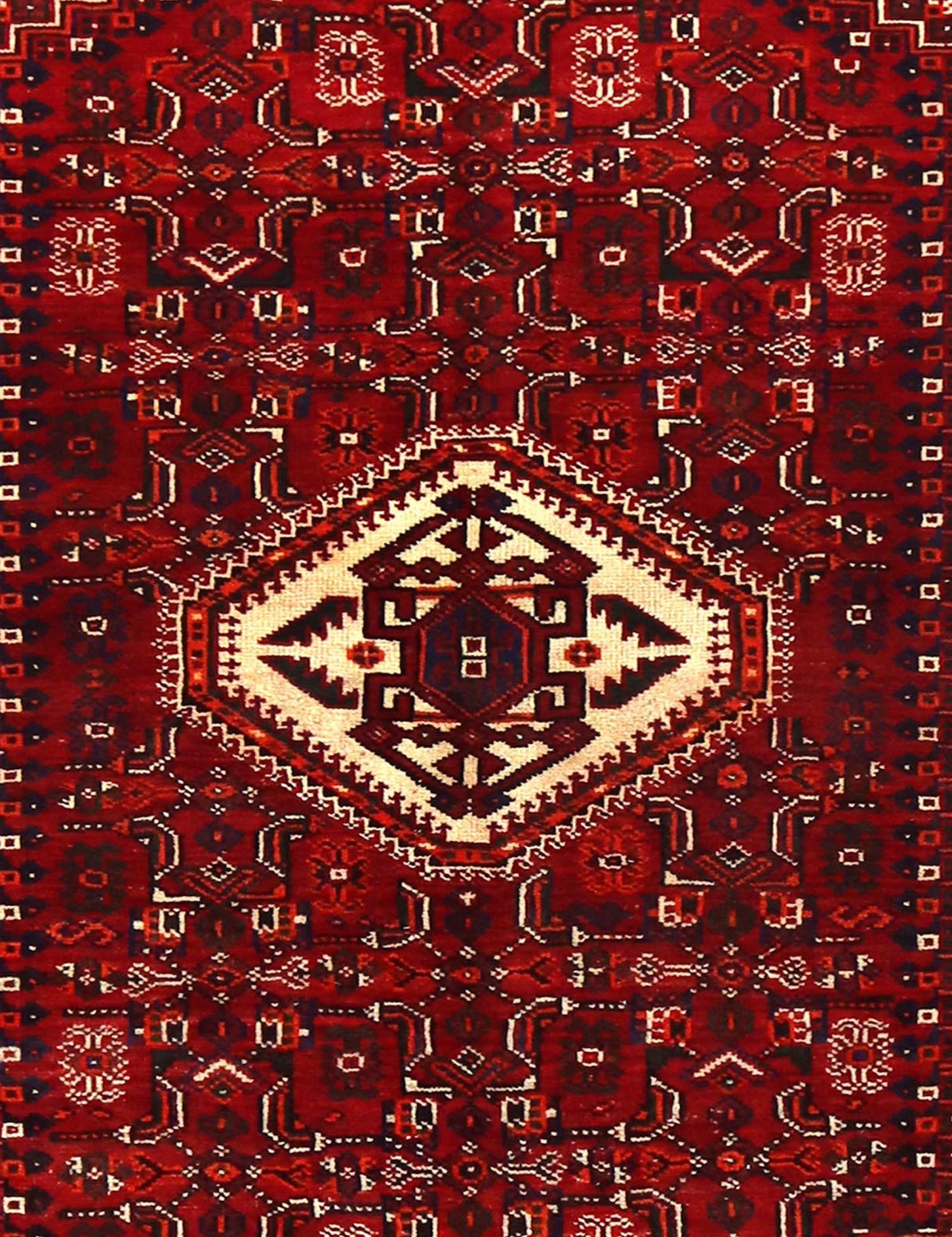 Shiraz  <br/>248 x 152 cm