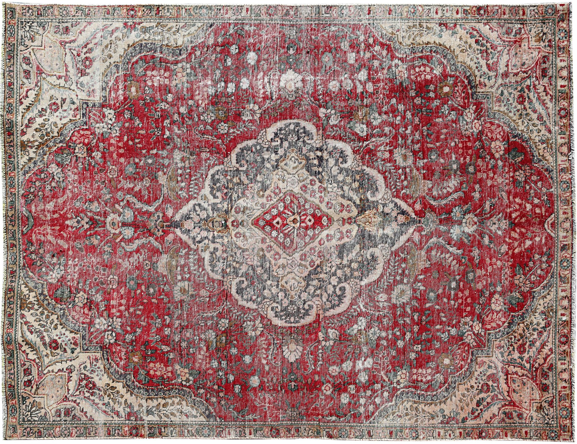 Retro Rug  <br/>323 x 218 cm