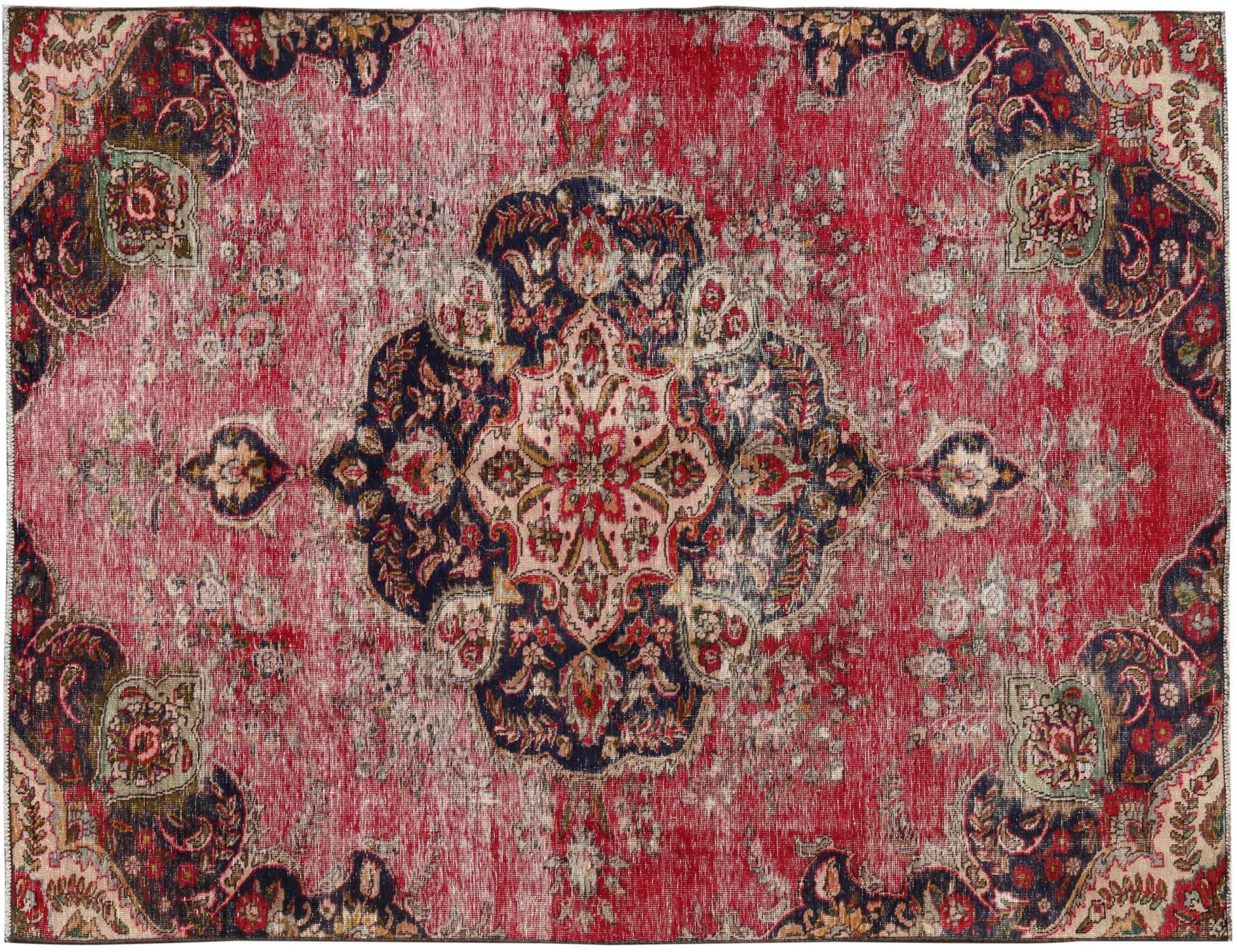 Retro    <br/>300 x 183 cm