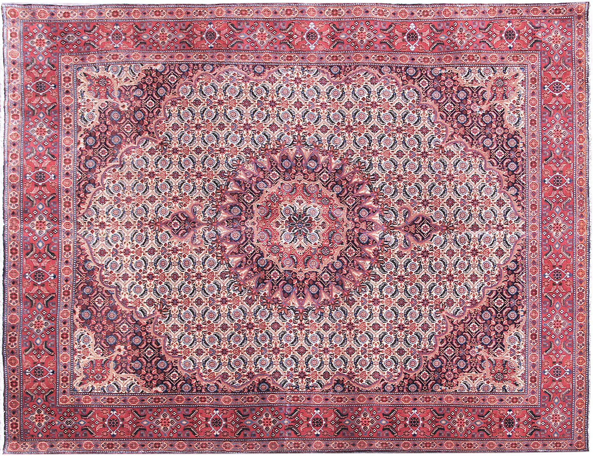 Moud    <br/>286 x 206 cm