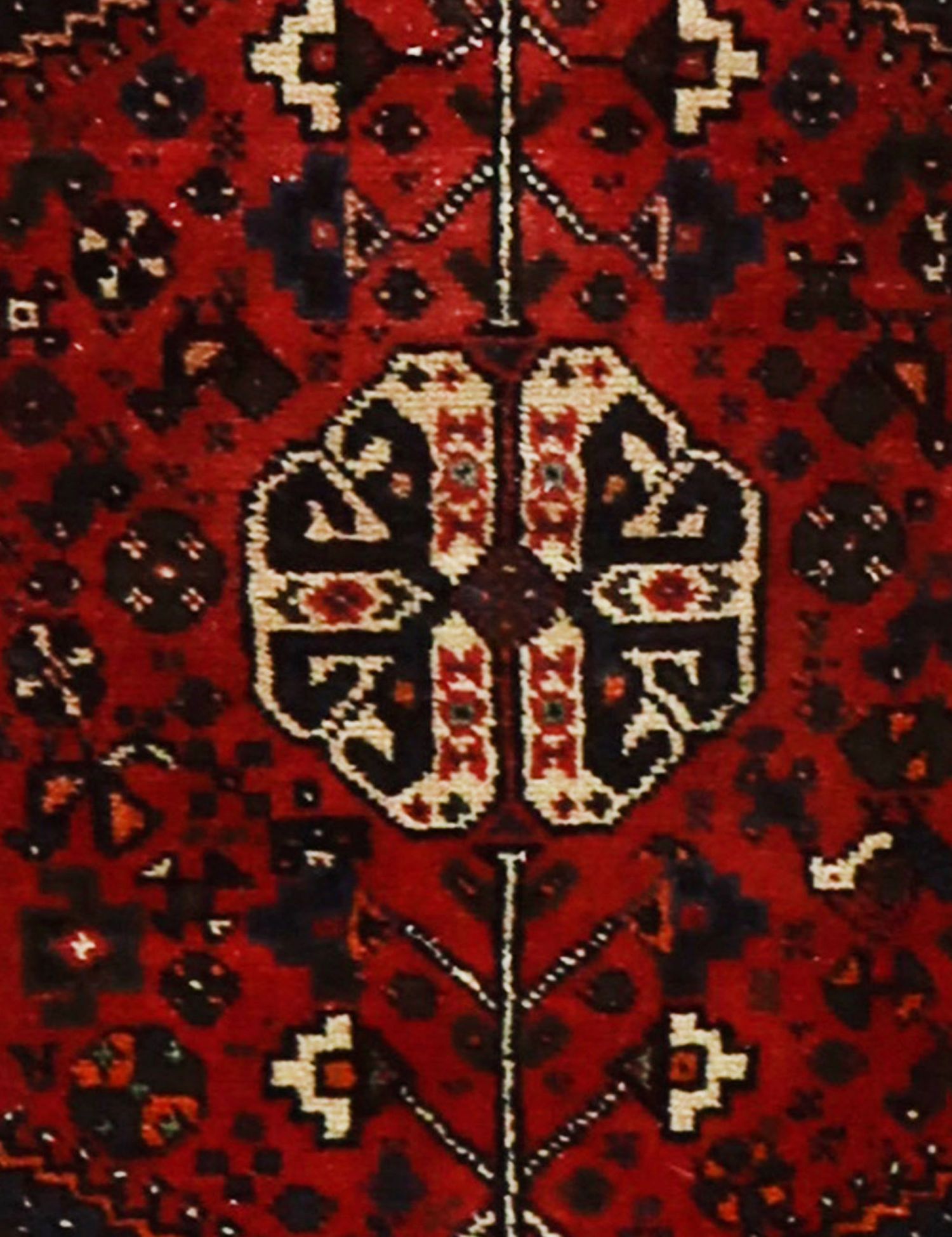 Shiraz  <br/>105 x 70 cm