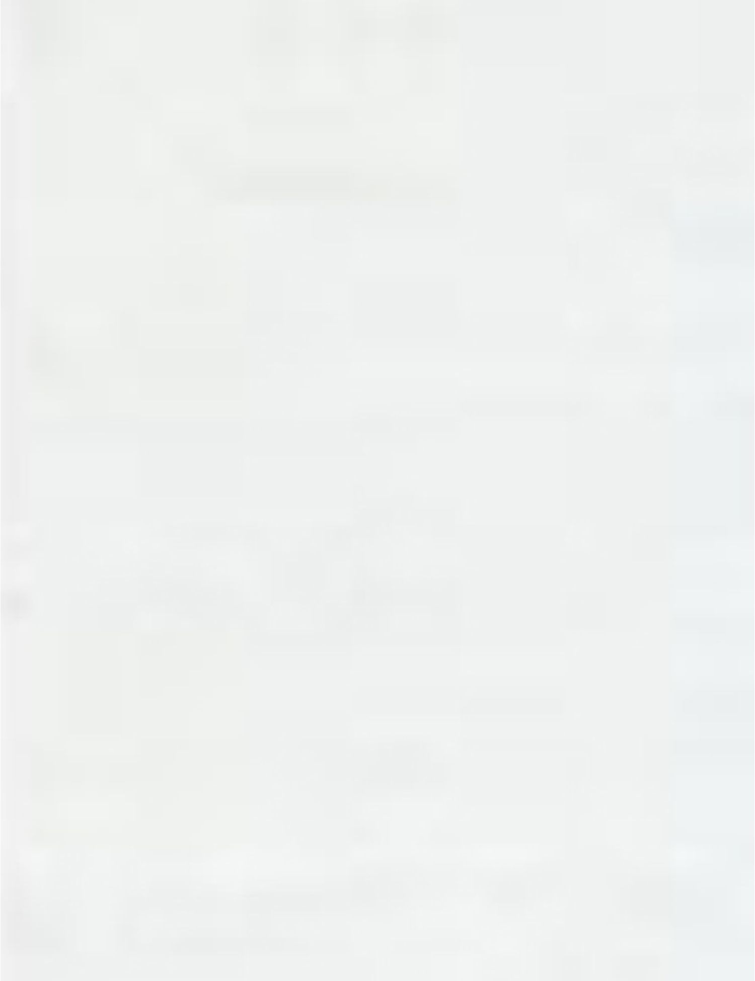 Tencel Silk  <br/>306 x 84 cm