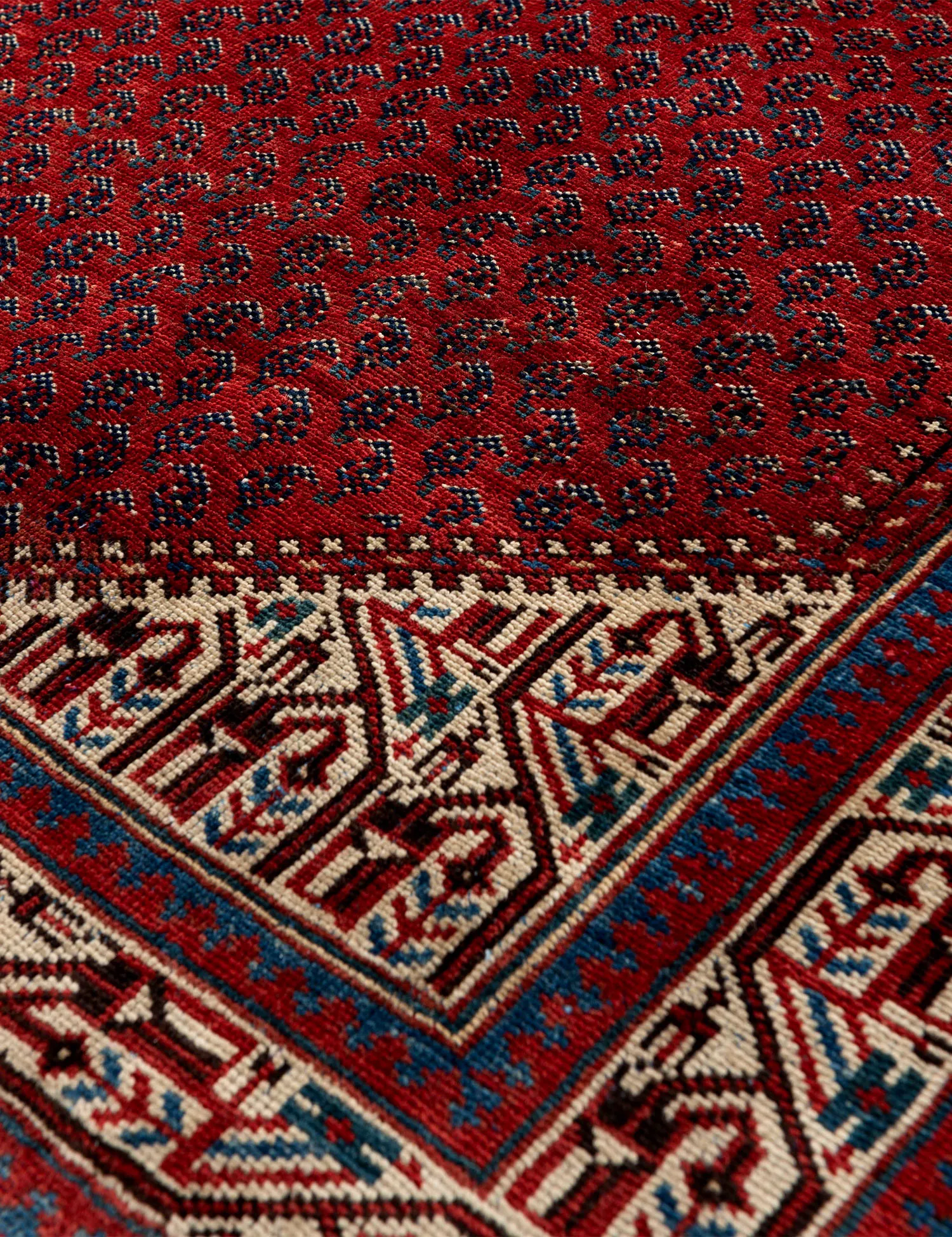 Tabriz  <br/>240 x 127 cm