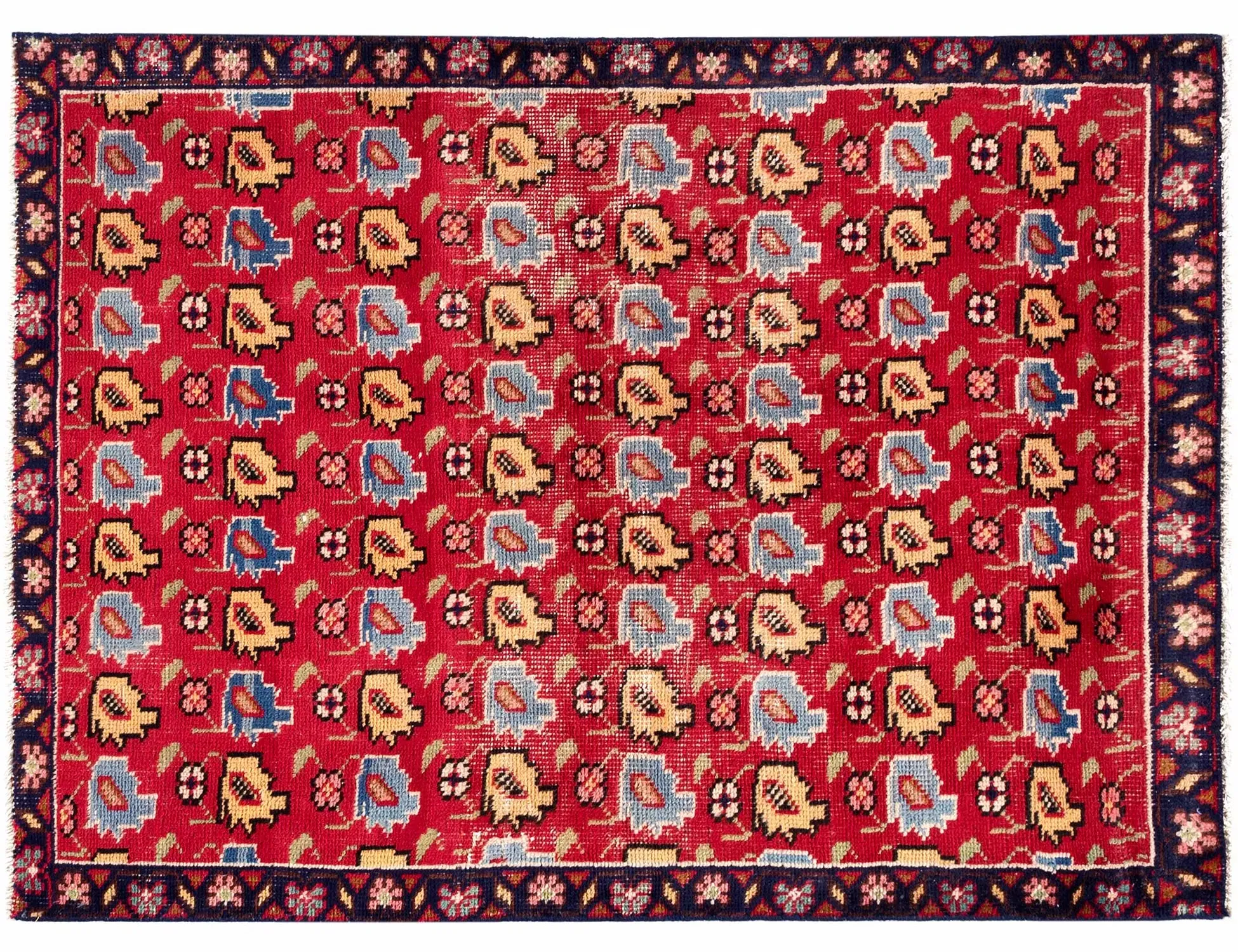 Shiraz  <br/>141 x 101 cm