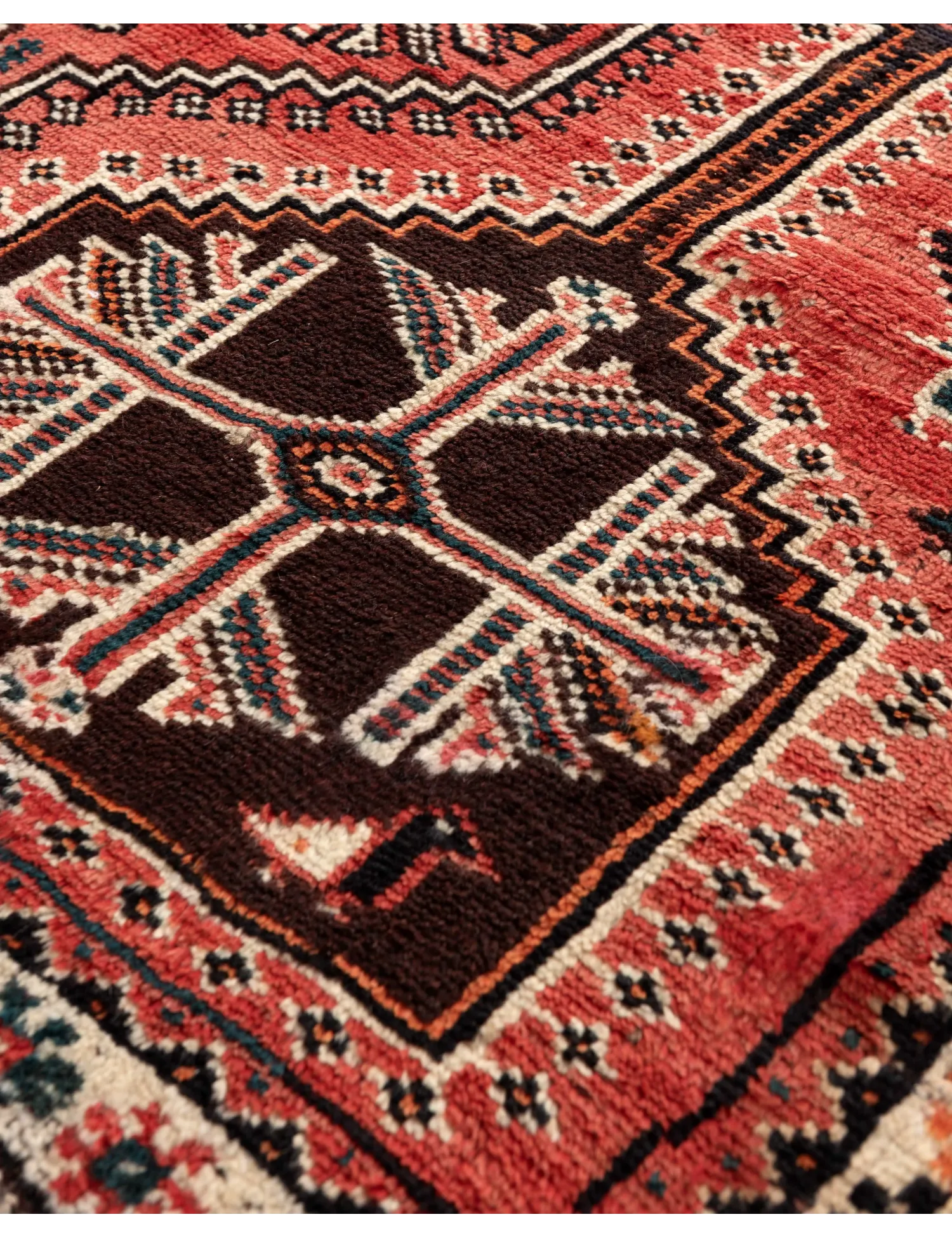 Shiraz  <br/>230 x 150 cm