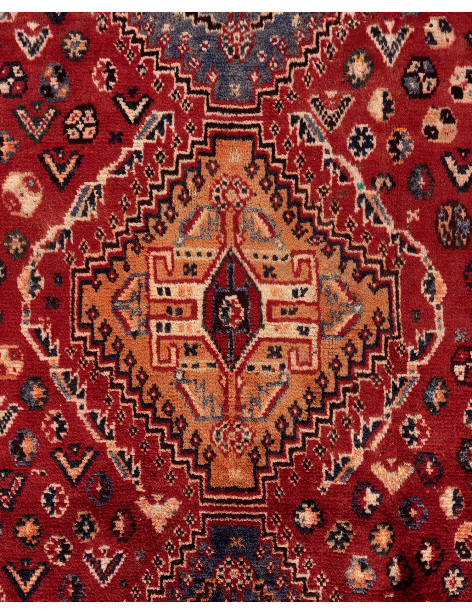 Shiraz  <br/>252 x 164 cm