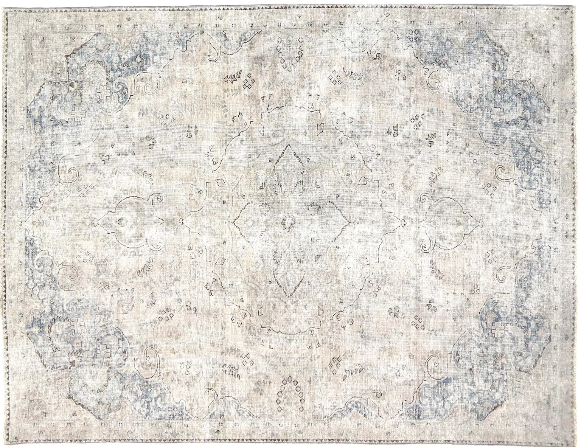 Persian Vintage    <br/>310 x 217 cm