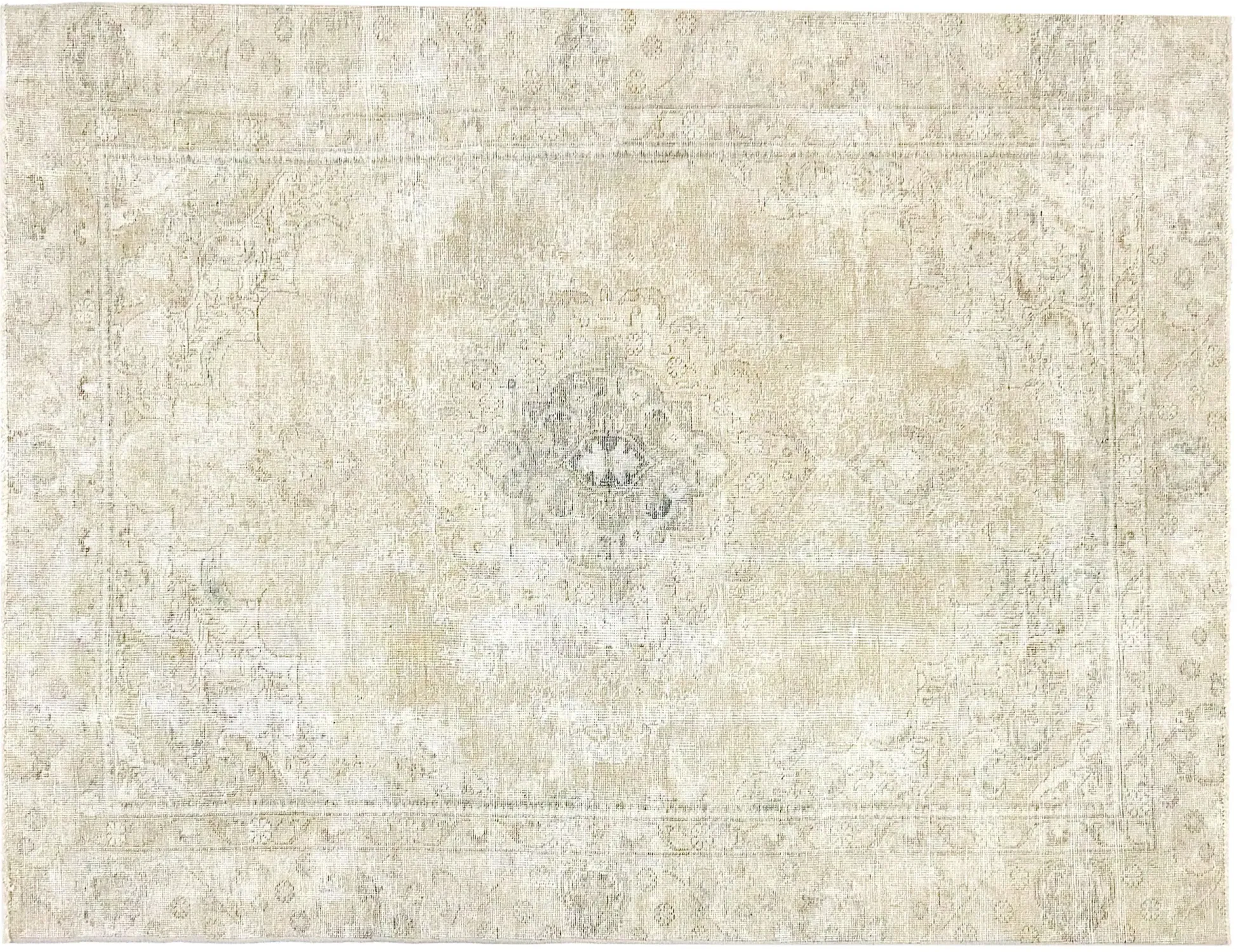 Persian Vintage    <br/>265 x 175 cm