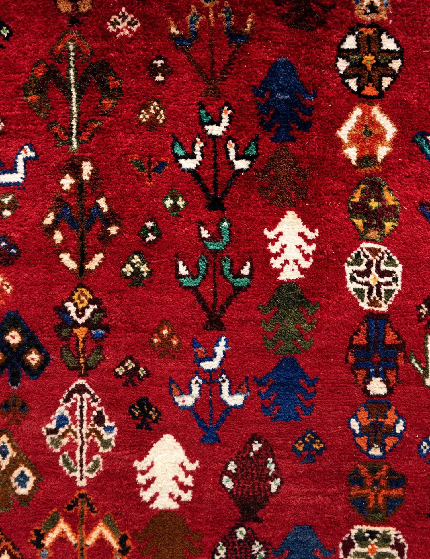 Shiraz  <br/>266 x 168 cm
