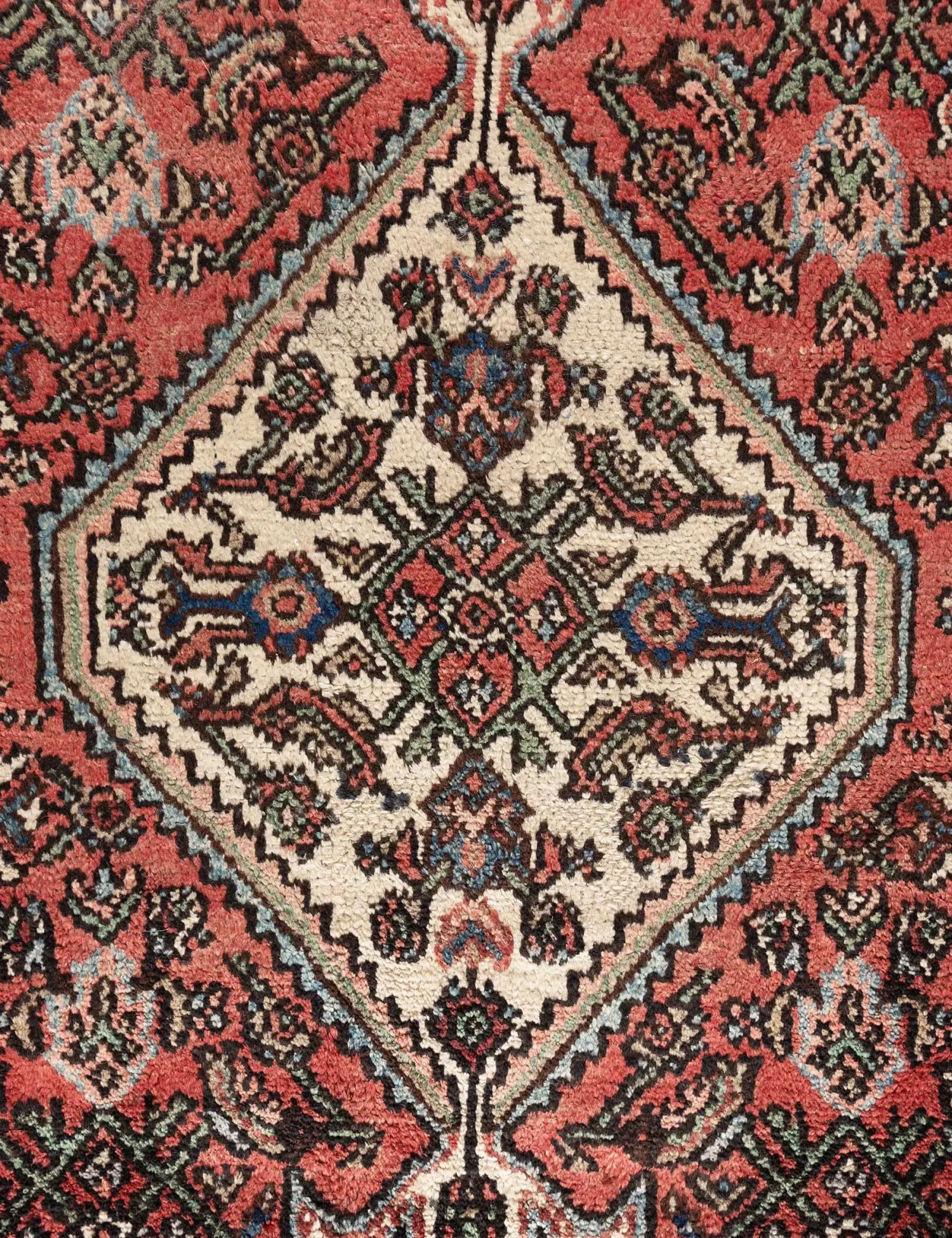 Hamadan Patina  <br/>317 x 201 cm