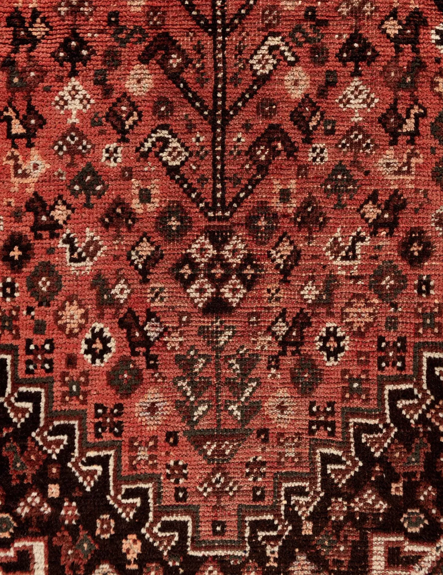 Shiraz Patina  <br/>264 x 80 cm