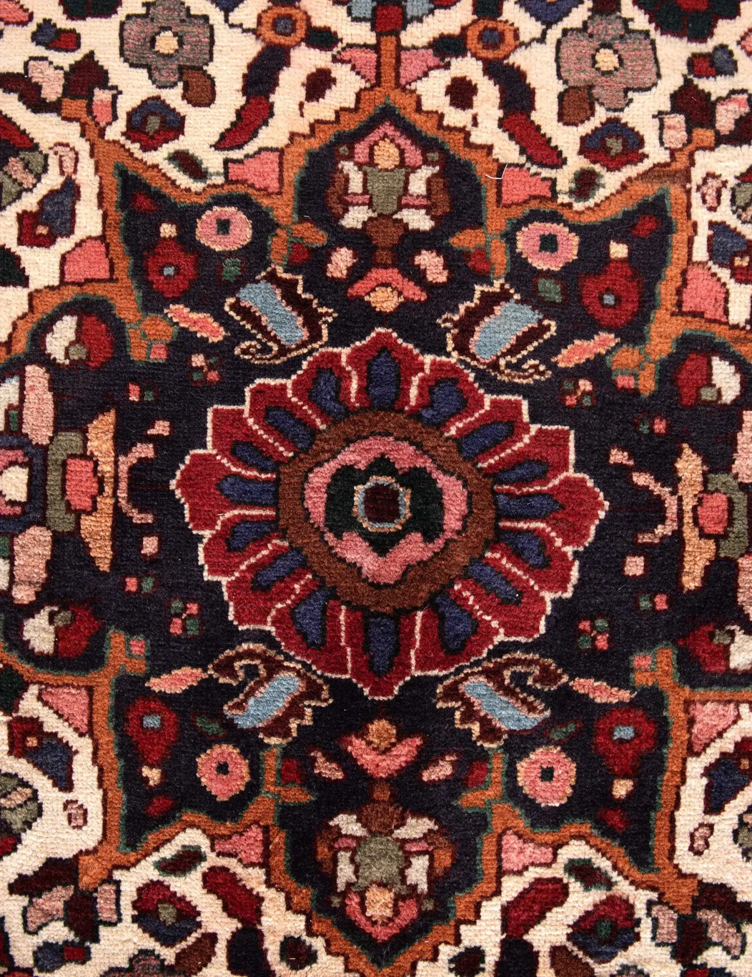 Bakhtiar  <br/>305 x 205 cm