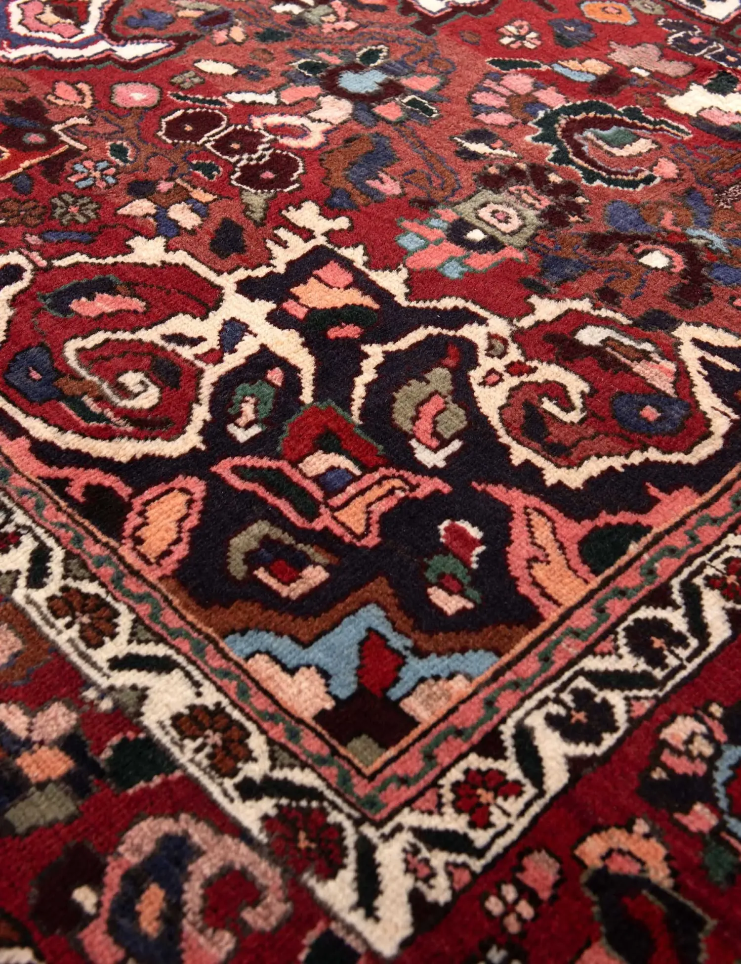 Bakhtiar  <br/>305 x 205 cm